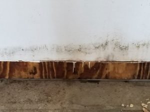 Mold Cleanup Fuquay-Varina NC