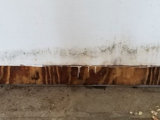 Mold Cleanup New Hill NC