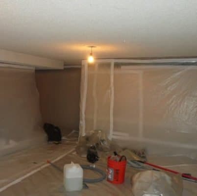 Mold Removal New Hill NC